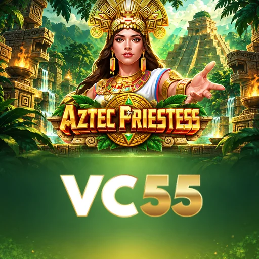 Expert Review vc55